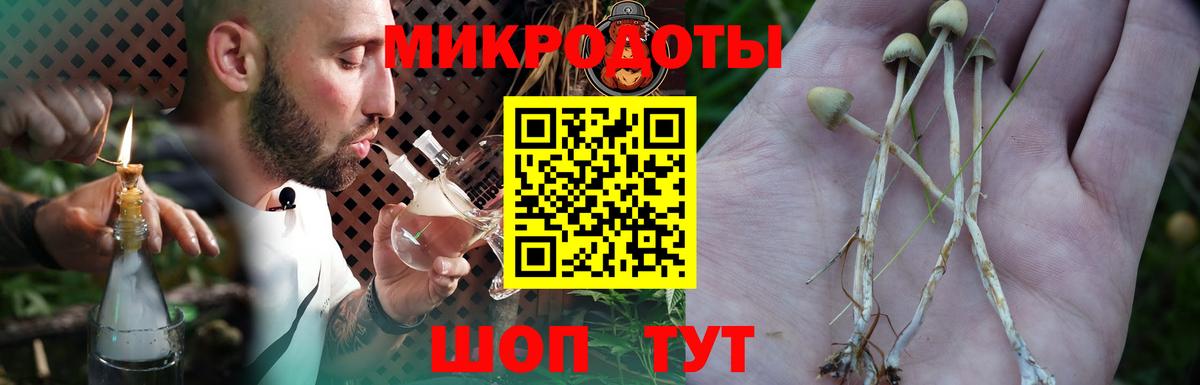 Галлюциногенные грибы Magic Shrooms  даркнет сайт  Вход с VPN  Кировск  Галлюциногенные грибы прущие грибы 